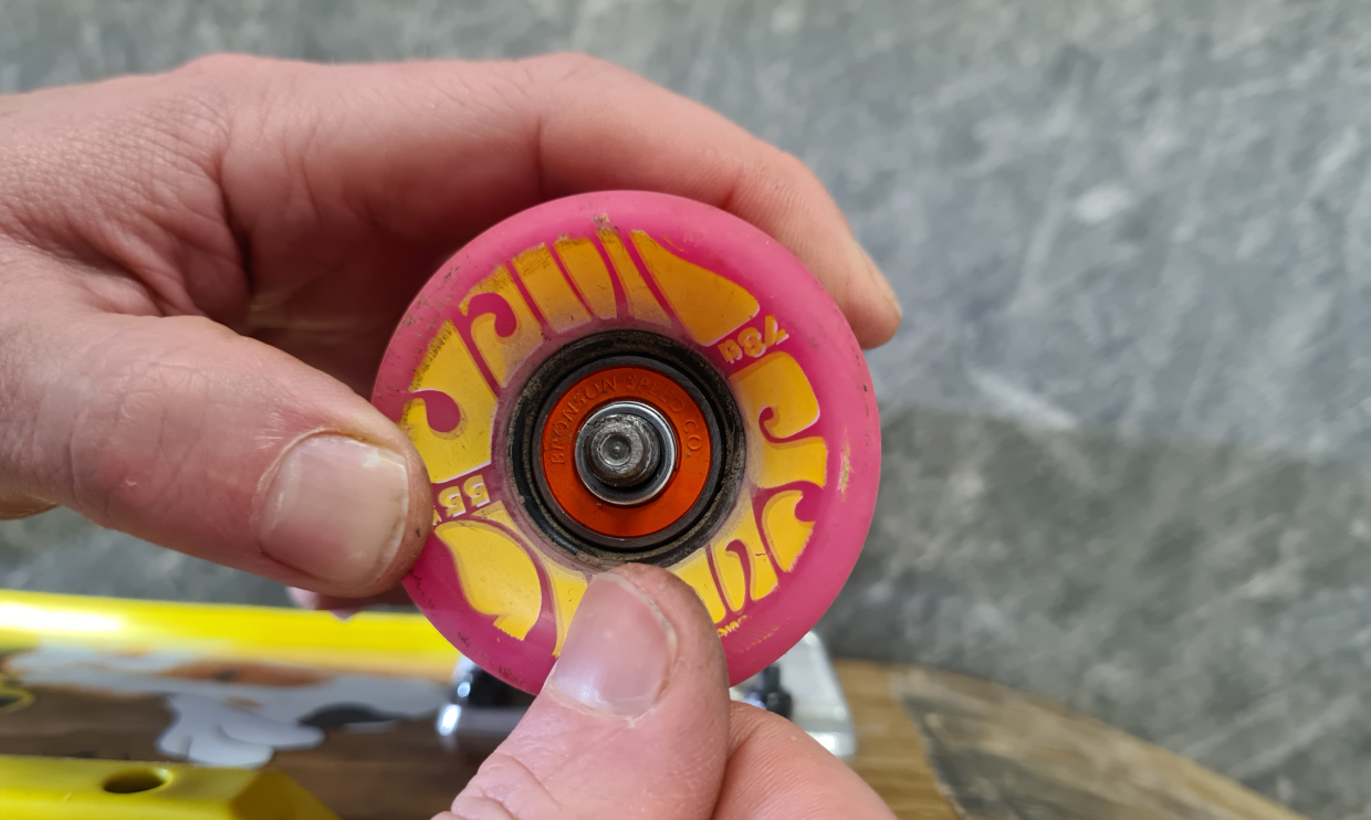 Close up skateboard bearing in a wheel